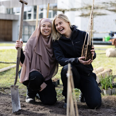 trees-for-schools